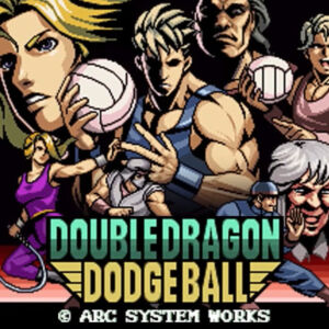 Double Dragon Revive - Pre-Order Bonus DLC PS5 CD Key