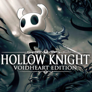 Hollow Knight: Voidheart Edition PS4 Account