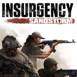 Insurgency: Sandstorm PS4/PS5 Online Account Activation